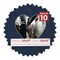 Navy Suede Mat Board for 27x27 Frames - Heart Opening for 22x22 Photos